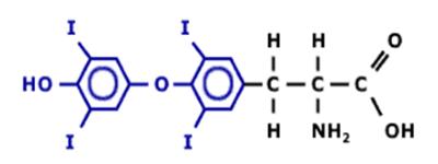 Tiroxin szerkezeti képlet